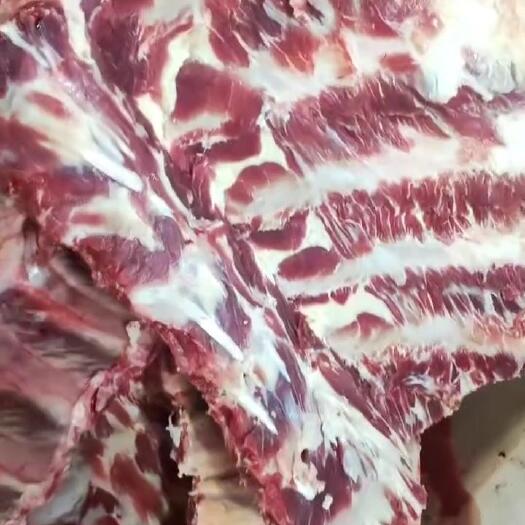 阳信县鲜牛骨，现宰现剔的牛骨，带肉多，屠宰场直销