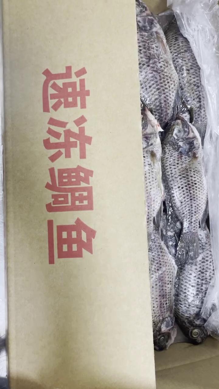 三去罗非鱼 8斤19条装新鲜速冻罗非鱼 酒店烧烤餐饮商批发