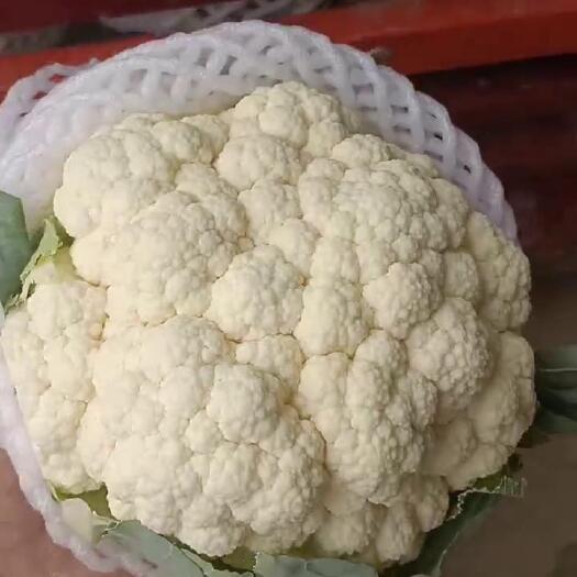曹县产地直发花菜，大量上市，欢迎咨询