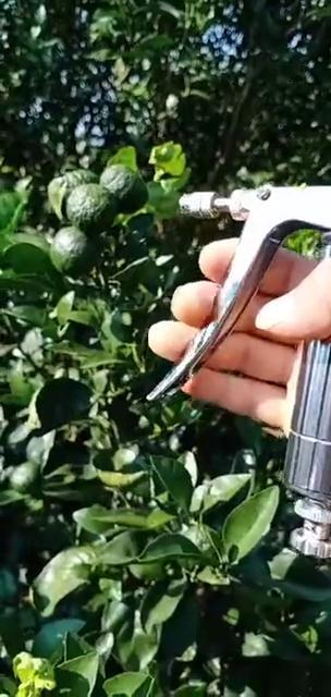寿光市樱桃不锈钢授粉器授粉番茄西红柿喷花器西瓜喷雾授粉喷花枪