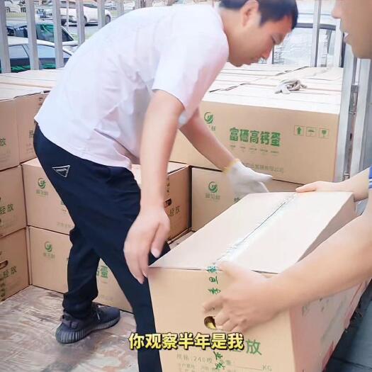 武陟县新鲜直达，没有库存蛋，不卖冷库蛋，富硒可生食，品质至上