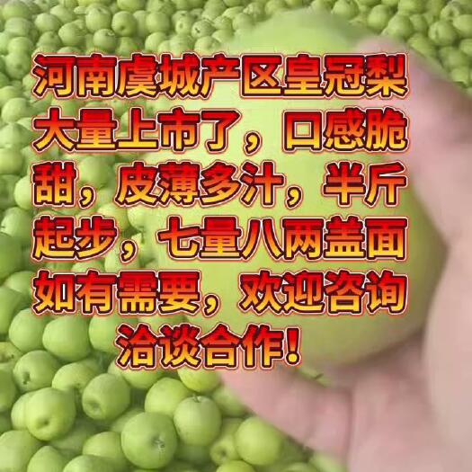 虞城县精品皇冠梨河南虞城产区实力供货纯甜无渣皮薄多汁水分足价格优