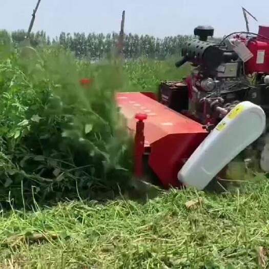 曲阜市农用园林牧草手扶前置式汽油柴油除草机树空碎草机电启动灭草机