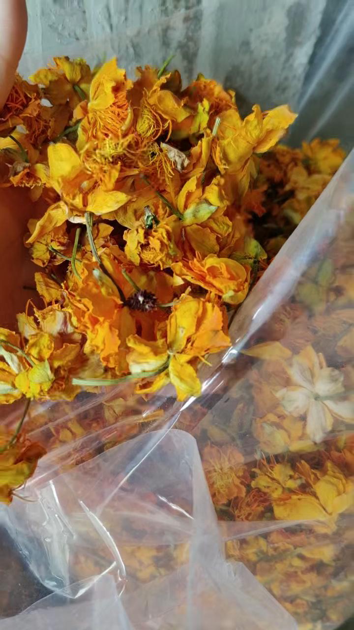 金莲花干花【产地直供】一手货源