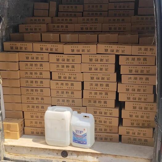 洪湖莲藕 煲汤粉藕，产地直销，不粉包赔